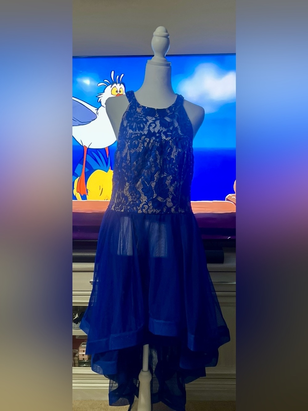 Girls Royal Blue Lace & Tulle Party Dress Never Worn !